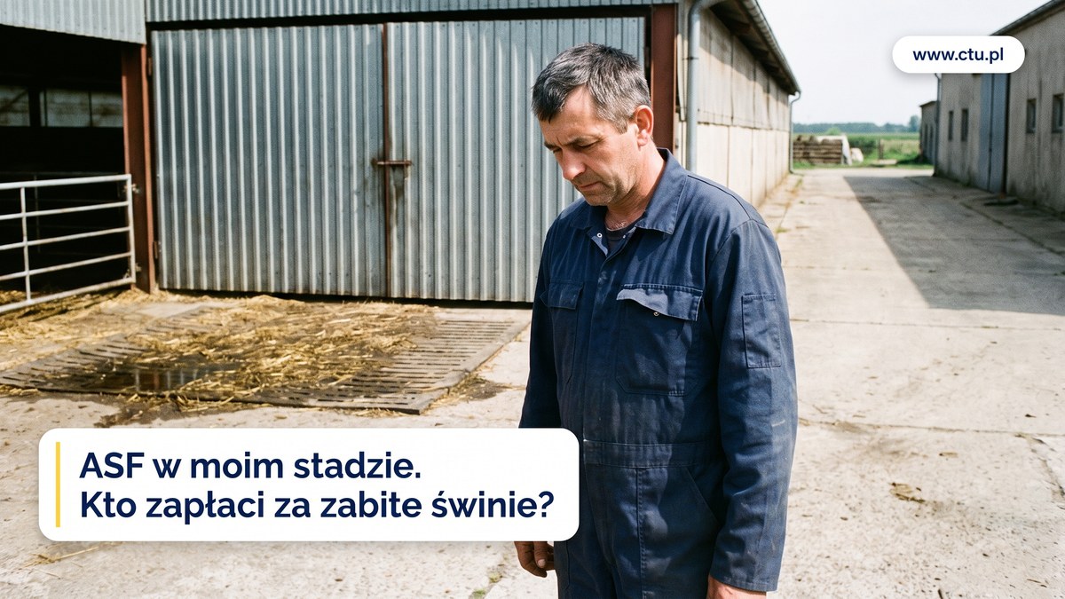 Przygnębiony rolnik w kombinezonie stoi przed zamkniętą bramą chlewni z matą dezynfekcyjną